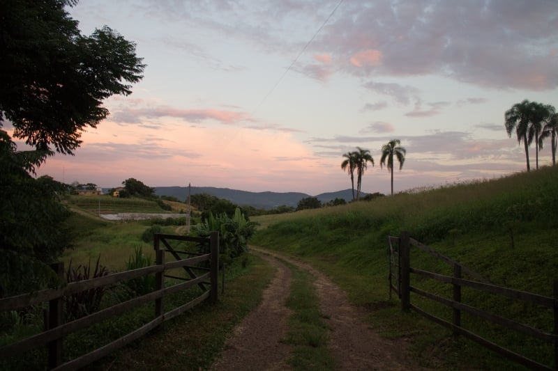 Ecosabores integra Rota Sabores e Saberes crédito divulgação Cultivo Comunicação Rural (1)