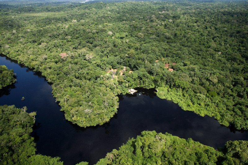 Animais de regiões como a amazônica teriam mais dificuldade de se adaptar a ambientes mais degradados e fragmentados pela ação humana