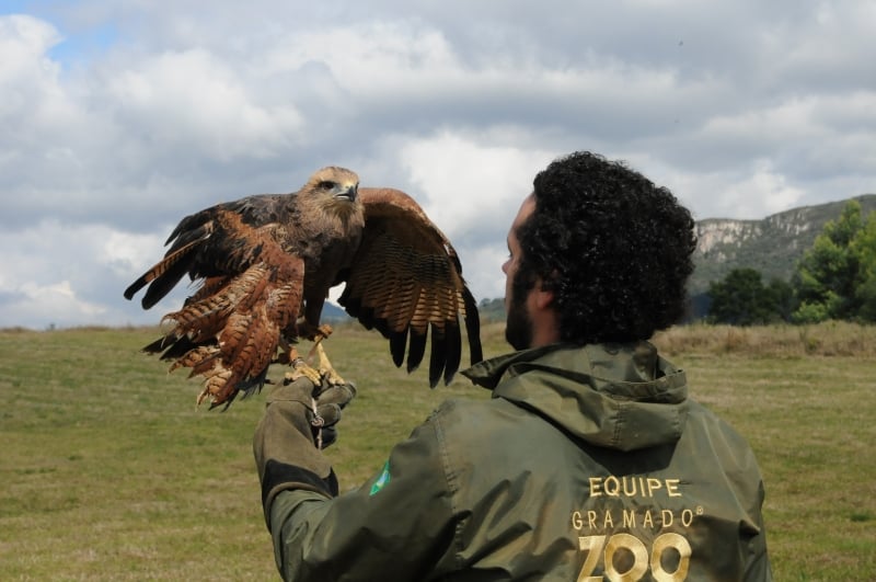 Algumas atividades, como demonstração de Falcoaria, ainda não estarão disponíveis
