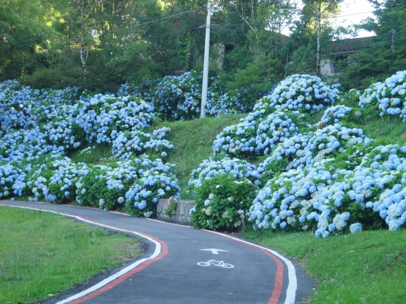 Com a inclusão de Caxias do Sul, rota da microrreigão passa a contar com mais municípios da Serra Gaúcha