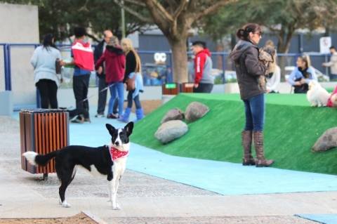 Vereadores de Porto Alegre aprovam inclus�o de cachorr�dromos e parklets no mobili�rio urbano