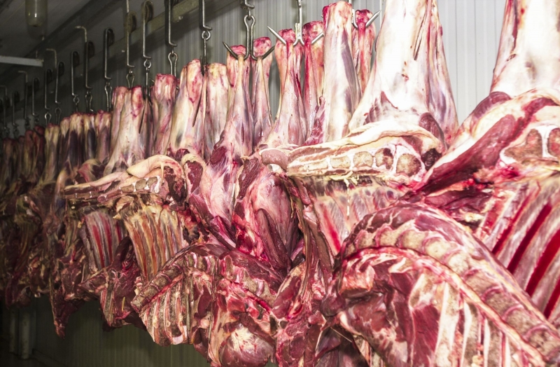 Agropecuária liderou alta com avanço de 1,72%, e tem como um dos componentes a carne de boi 