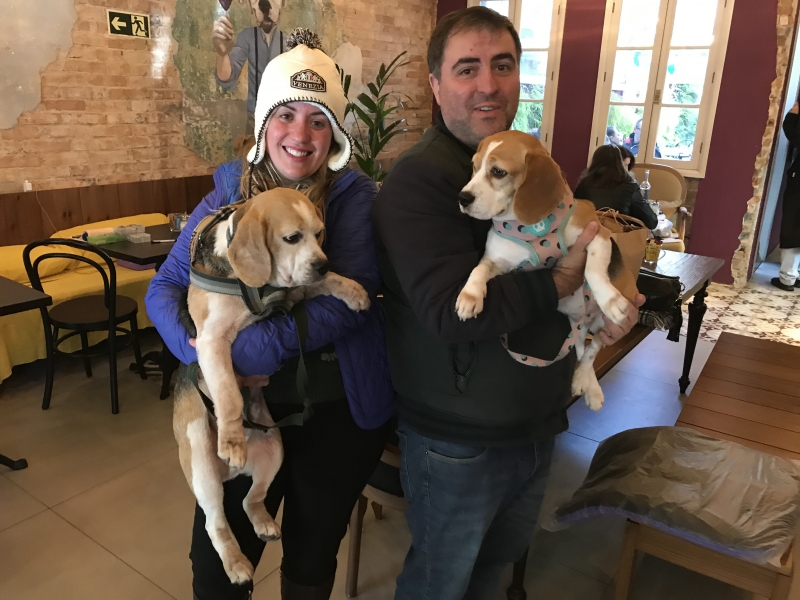 "Até cães de raça são abandonados", alertam Daniela e Igor, que adotou Max, 'irmãozinho' de Luna