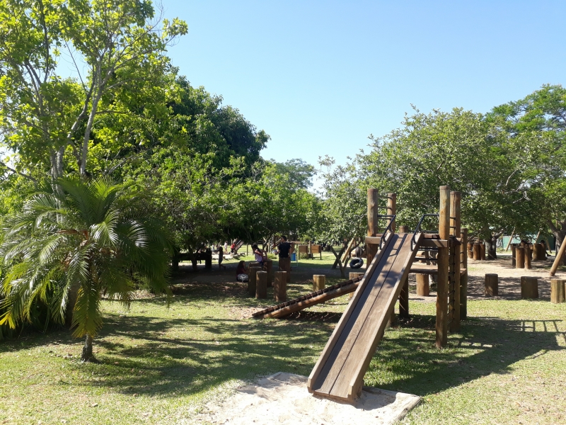 Ações como corte de espécies exóticas, consideradas como invasoras do local, estão na pauta da prefeitura