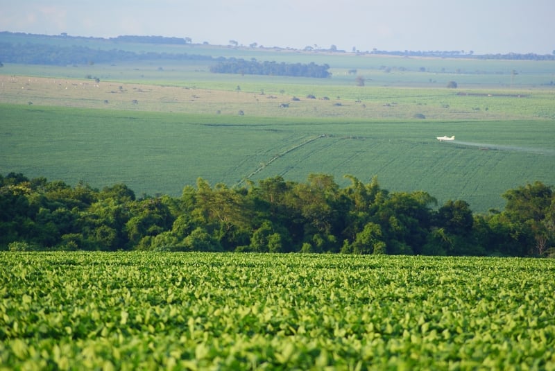Na justificativa apresentada pelo governo o argumento é que "o controle dos agrotóxicos está regrado em âmbito federal através da Lei Federal nº 7.082/89"  