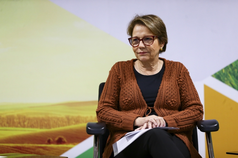 Segundo Tereza Cristina, governo filipino tomou decisão sem provas de contaminação