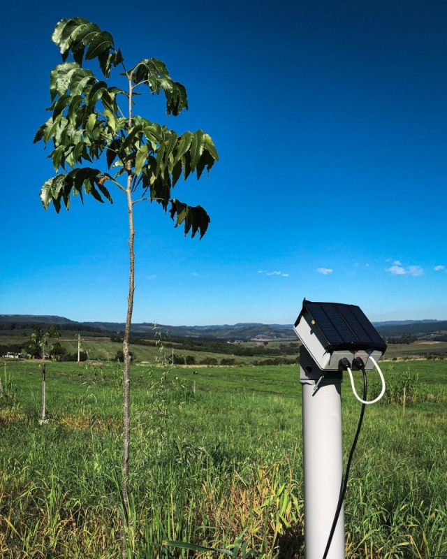 Sensores fixos no campo e alimentados por energia colhem dados da propriedade