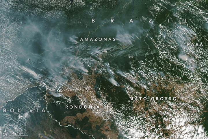 Incêndios registrados na floresta amazônica têm provocado protestos ao redor do mundo