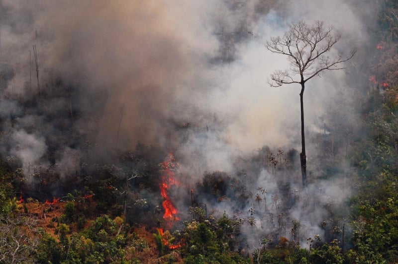 Dados do Inpe mostram que desmatamento na Amazônia Legal em maio foi o maior desde 2016