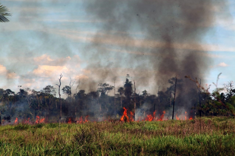 A queima maciça de árvores derrubadas na região amazônica produz efeitos em escala continental