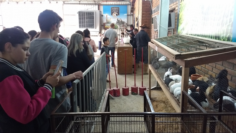 {'nm_midia_inter_thumb1':'https://www.jornaldocomercio.com/_midias/jpg/2019/08/26/206x137/1_img_20190826_100052685-8820830.jpg', 'id_midia_tipo':'2', 'id_tetag_galer':'', 'id_midia':'5d63df7274596', 'cd_midia':8820830, 'ds_midia_link': 'https://www.jornaldocomercio.com/_midias/jpg/2019/08/26/img_20190826_100052685-8820830.jpg', 'ds_midia': 'Expointer 2019 - visita&ccedil;&atilde;o de escolas Pavilh&atilde;o pequenos animais', 'ds_midia_credi': 'Bruna Oliveira/Especial/JC', 'ds_midia_titlo': 'Expointer 2019 - visita&ccedil;&atilde;o de escolas Pavilh&atilde;o pequenos animais', 'cd_tetag': '1', 'cd_midia_w': '800', 'cd_midia_h': '450', 'align': 'Left'}