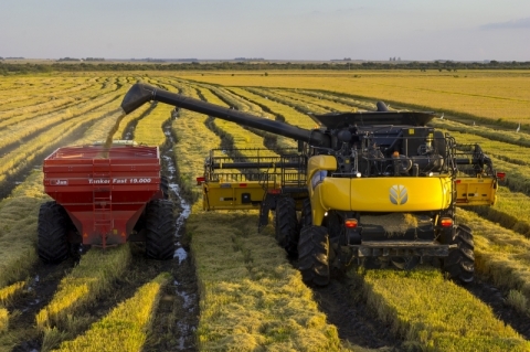 Apesar da crise arrozeira, New Holland aposta no setor