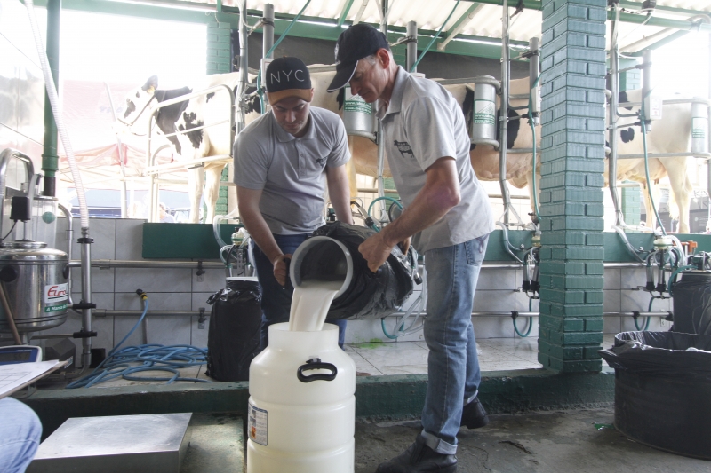 Entre um ano e outro, mil pecuaristas migraram para outra atividade; no entanto, litragem foi pouco afetada