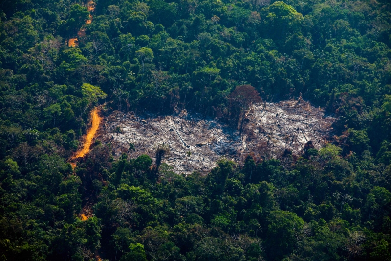 O Brasil tem dito explicitamente que espera que nações ricas, como os EUA, ofereçam contrapartida financeira pelo compromisso com a preservação da Amazônia