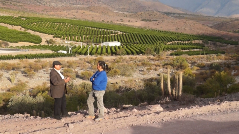Título nacional 'O verde está do outro lado' foi filmado na pré-Cordilheira dos Andes