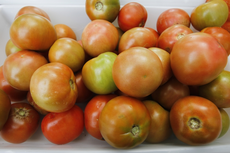 Destaque na apuração, que na taxa de Alimentação foi influenciada principalmente pelo tomate