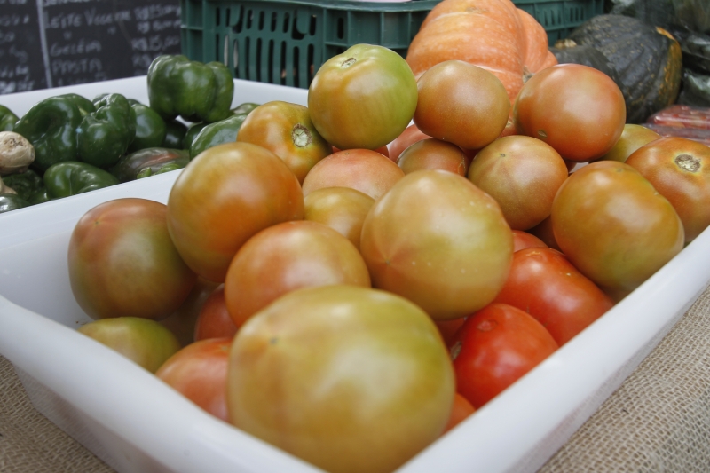 Tomate foi o alimento que registrou maior variação de preço, com aumento de 16,29%