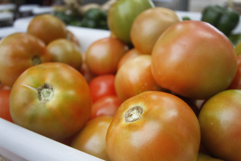 Nove produtos ficaram mais caros, em destaque o tomate (11,90%)