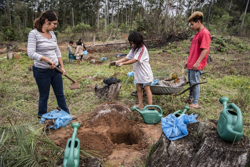 Espécie é considerada importante para a cultura dos índios, que querem promover modo de vida tradicional
