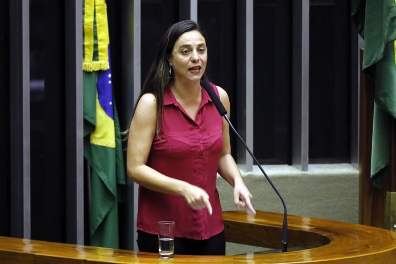 Texto é da líder do PSOL na Câmara, Fernanda Melchionna (RS)