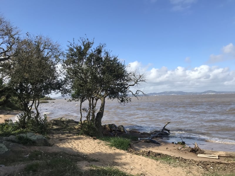 {'nm_midia_inter_thumb1':'https://www.jornaldocomercio.com/_midias/jpg/2019/10/11/206x137/1_img_8463-8869125.jpg', 'id_midia_tipo':'2', 'id_tetag_galer':'', 'id_midia':'5da0d1ee1948f', 'cd_midia':8869125, 'ds_midia_link': 'https://www.jornaldocomercio.com/_midias/jpg/2019/10/11/img_8463-8869125.jpg', 'ds_midia': 'Estado atual da orla no município de Guaíba, antes das obras do projeto liderado pela CMPC.', 'ds_midia_credi': 'MOOVE/DIVULGAÇÃO/JC', 'ds_midia_titlo': 'Estado atual da orla no município de Guaíba, antes das obras do projeto liderado pela CMPC.', 'cd_tetag': '1', 'cd_midia_w': '800', 'cd_midia_h': '600', 'align': 'Left'}