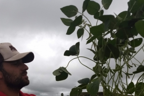 Ambiente equilibrado exige maior presença a campo, afirma Bassani