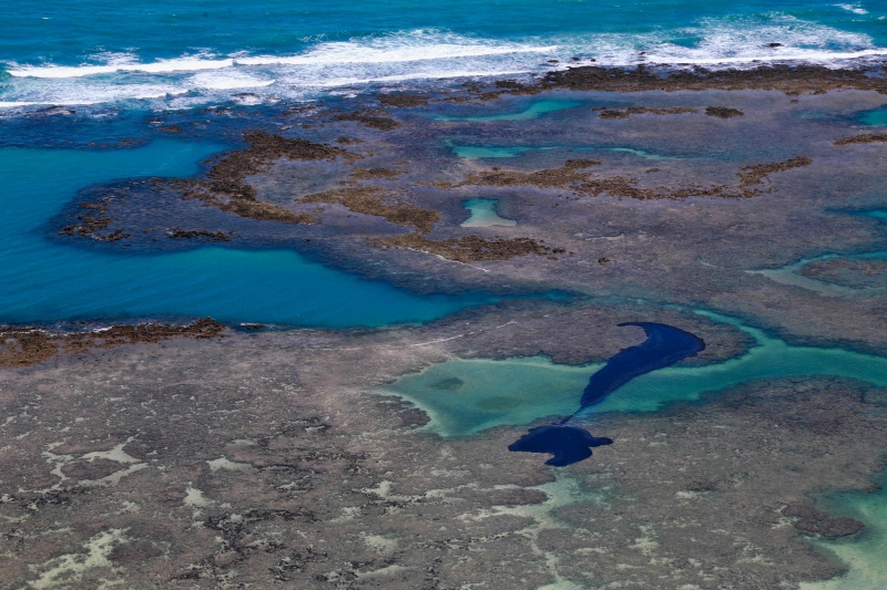 Óleo atingiu inicialmente o litoral do Nordeste, mas agora fragmentos são vistos em praias de Linhares