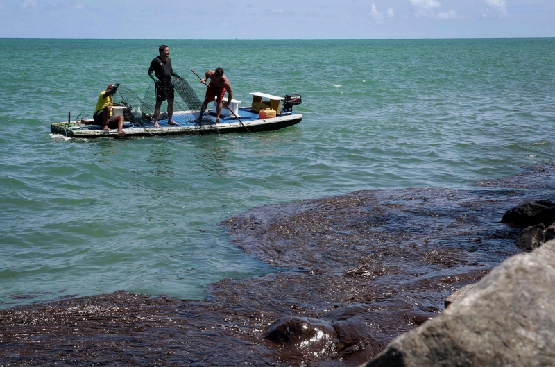 Até o momento, 972 pontos do litoral brasileiro foram afetados e mais de 100 animais morreram 