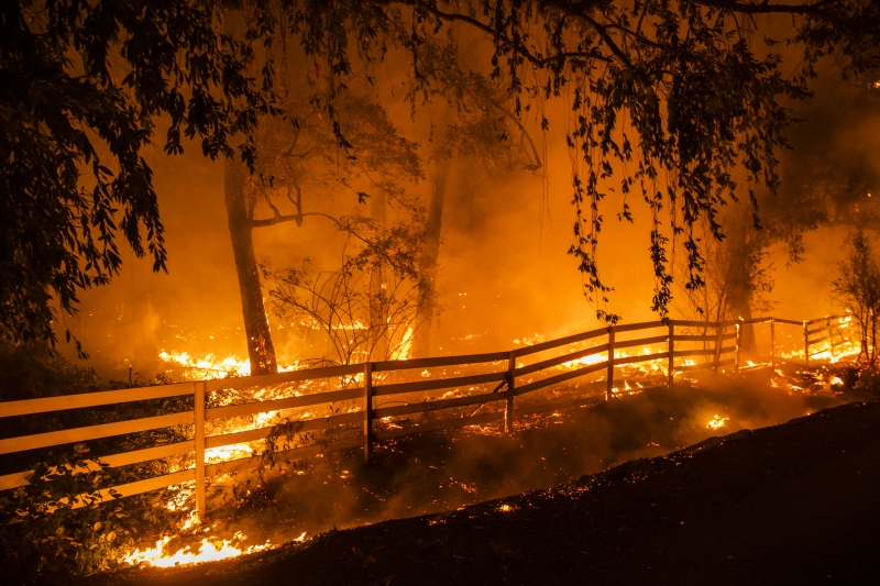 Mais uma vez, a Califórnia sofre com incêndios florestais de grandes proporções