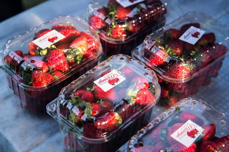 Com gastronomia em alta e sucessos, como o morango do amor, organização espera por público de 180 mil visitantes