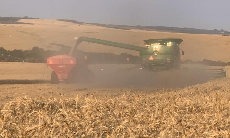 Após suspender financiamentos, União libera R$ 4 bi para Plano Safra