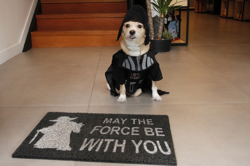 Especial de gastronomia do Gera&ccedil;&atilde;oE no Dark Side Caf&eacute;
Na foto: Toquinho Foto: LUIZA PRADO/JC