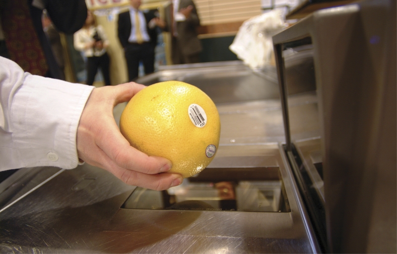 Empresa investe para acompanhar a produ&ccedil;&atilde;o de 30 mil toneladas de citros por ano 