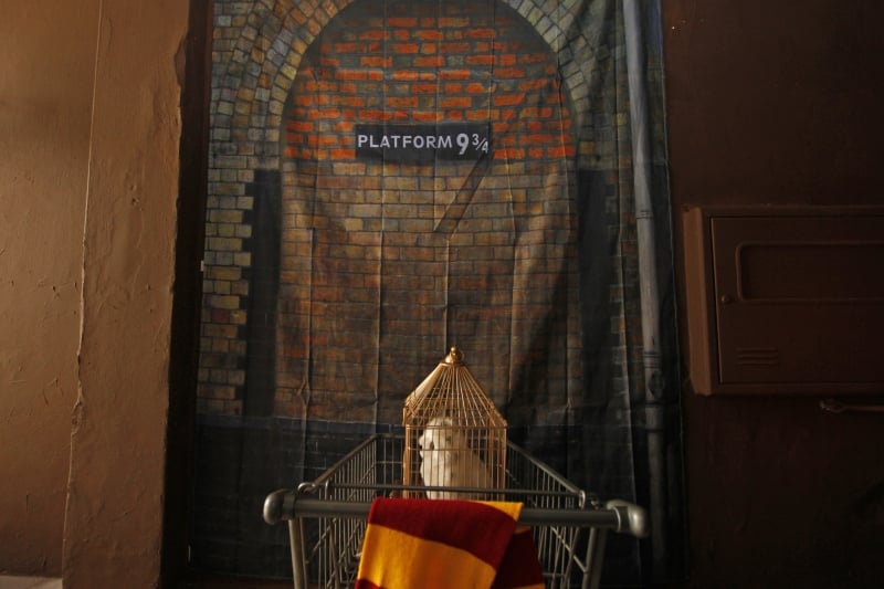 Entrevista e grava&ccedil;&atilde;o com a propriet&aacute;ria do Airbnb tem&aacute;tico do Harry Potter
 Foto: LUIZA PRADO/JC