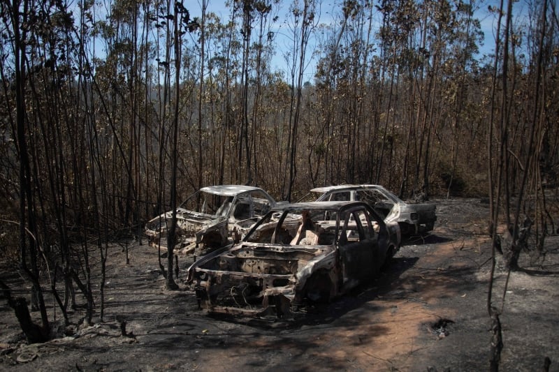 Incêndio destruiu cerca de 150 hectares e 200 casas, mas não deixou mortos
