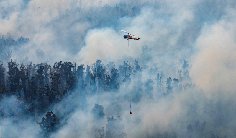 �rea afetada pelo fogo estende-se por mais de 4,6 bilh�es de hectares