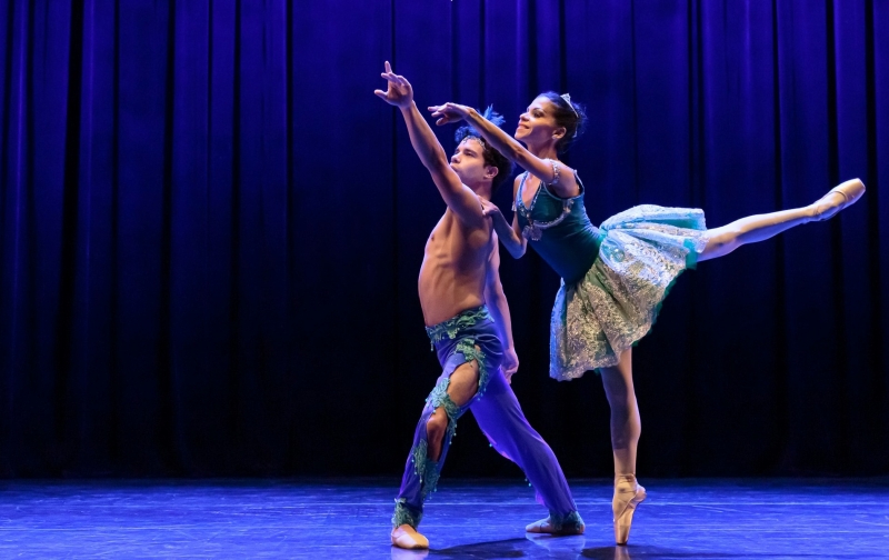 Festival conta com 145 coreografias e 82 trabalhos, somando 430 bailarinos e bailarinas