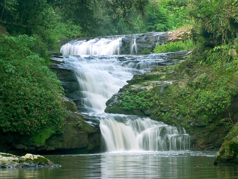 {'nm_midia_inter_thumb1':'https://www.jornaldocomercio.com/_midias/jpg/2020/01/10/206x137/1_picada_verao-8947778.jpg', 'id_midia_tipo':'2', 'id_tetag_galer':'', 'id_midia':'5e18dba2296a7', 'cd_midia':8947778, 'ds_midia_link': 'https://www.jornaldocomercio.com/_midias/jpg/2020/01/10/picada_verao-8947778.jpg', 'ds_midia': 'Cachoeira Reserva Picada Ver&atilde;o', 'ds_midia_credi': 'RESERVA PICADA VER&Atilde;O/REPRODU&Ccedil;&Atilde;O/JC', 'ds_midia_titlo': 'Cachoeira Reserva Picada Ver&atilde;o', 'cd_tetag': '1', 'cd_midia_w': '800', 'cd_midia_h': '600', 'align': 'Left'}