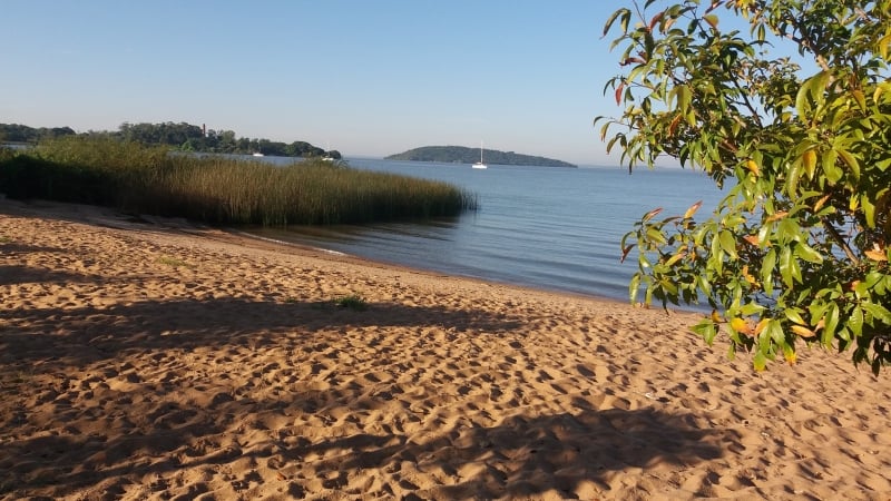 {'nm_midia_inter_thumb1':'https://www.jornaldocomercio.com/_midias/jpg/2020/01/10/206x137/1_praia_das_garcas_facebook-8947867.jpg', 'id_midia_tipo':'2', 'id_tetag_galer':'', 'id_midia':'5e18e048cff38', 'cd_midia':8947867, 'ds_midia_link': 'https://www.jornaldocomercio.com/_midias/jpg/2020/01/10/praia_das_garcas_facebook-8947867.jpg', 'ds_midia': 'Praia das Gar&ccedil;as, banhada pelo Lago Gua&iacute;ba', 'ds_midia_credi': 'PRAIA DAS GAR&Ccedil;AS/FACEBOOK/REPRODU&Ccedil;&Atilde;O/JC', 'ds_midia_titlo': 'Praia das Gar&ccedil;as, banhada pelo Lago Gua&iacute;ba', 'cd_tetag': '1', 'cd_midia_w': '800', 'cd_midia_h': '450', 'align': 'Left'}