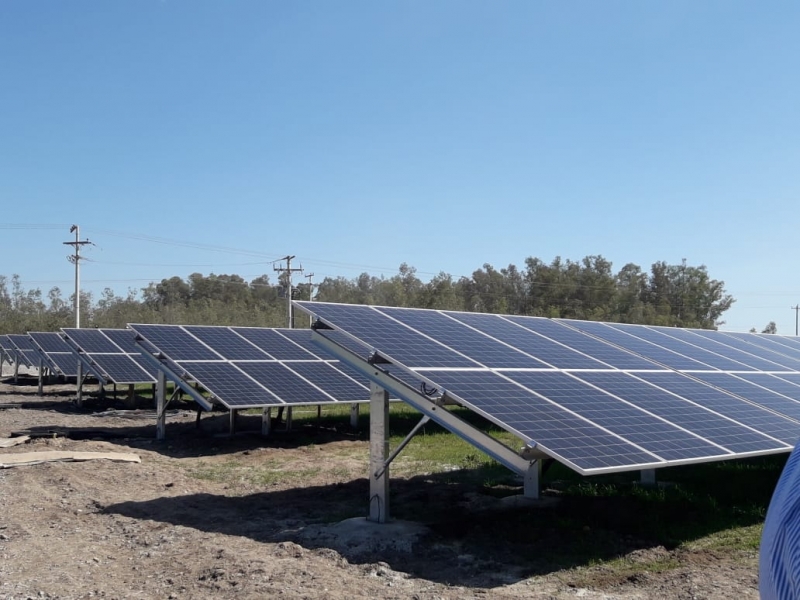 Fazenda solar em Pantano Grande gera energia para loja situada em Porto Alegre 