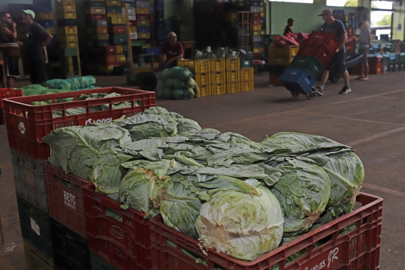 Puxado por hortaliças e legumes, grupo Alimentação teve alta no indicador da FGV