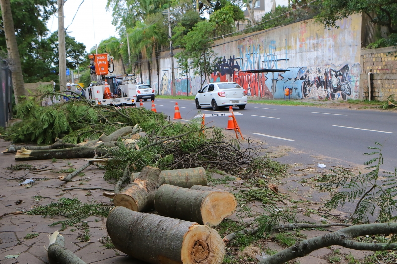 Mau tempo derrubou árvores em diversas ruas de Porto Alegre, afetando a rede elétrica