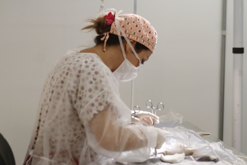 {'nm_midia_inter_thumb1':'https://www.jornaldocomercio.com/_midias/jpg/2020/02/05/206x137/1_lp_050220___hospital_de_animais__3_-8972250.jpg', 'id_midia_tipo':'2', 'id_tetag_galer':'', 'id_midia':'5e3af510d7b46', 'cd_midia':8972250, 'ds_midia_link': 'https://www.jornaldocomercio.com/_midias/jpg/2020/02/05/lp_050220___hospital_de_animais__3_-8972250.jpg', 'ds_midia': 'Unidade de Sa&uacute;de Vict&oacute;ria (hospital de vetes que o Grendene construiu) na estrada B&eacute;rico Jos&eacute; Bernardes, 3489, parada 19, bairro Lomba do Pinheiro', 'ds_midia_credi': 'LUIZA PRADO/JC', 'ds_midia_titlo': 'Unidade de Sa&uacute;de Vict&oacute;ria (hospital de vetes que o Grendene construiu) na estrada B&eacute;rico Jos&eacute; Bernardes, 3489, parada 19, bairro Lomba do Pinheiro', 'cd_tetag': '1', 'cd_midia_w': '800', 'cd_midia_h': '533', 'align': 'Left'}