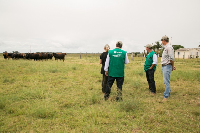 Propriedade que recebeu o lançamento, em Camaquã, tem 750 cabeças de gado em 500 hectares
