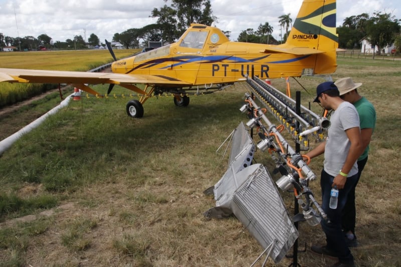 Segmento registra aumento de 3,9% em relação ao ano passado 