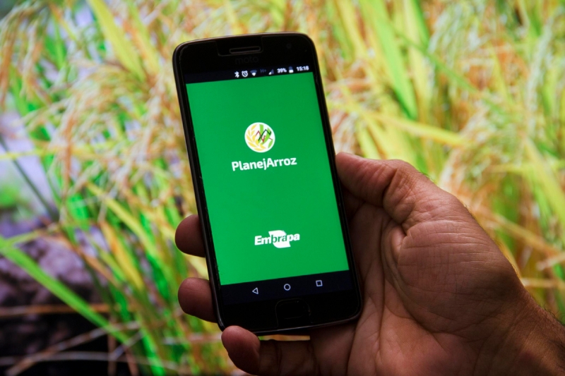 PlanejArroz vai fornecer informações como localização, época da semeadura e atualizações sobre o clima
