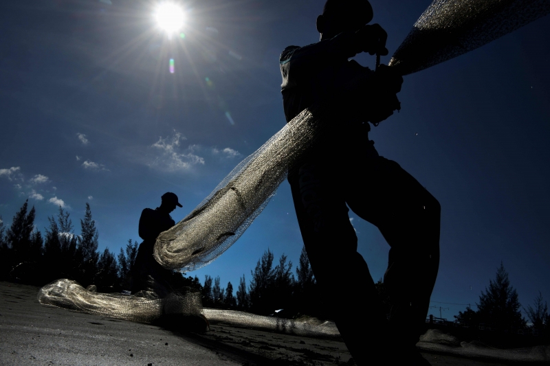 Principal medo dos pescadores é da espécie se adaptar às lagoas e gerar uma redução no volume de pescados
