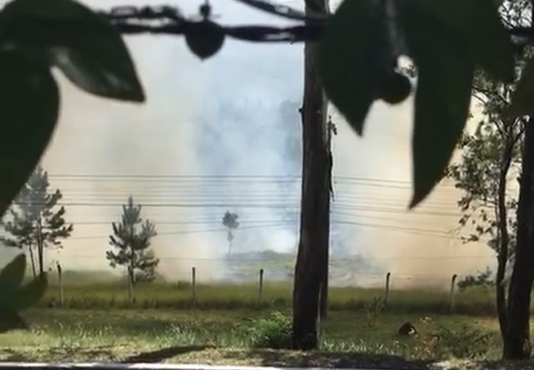Apesar da forte fumaça, foco de incêndio não atingiu nenhuma residência da região