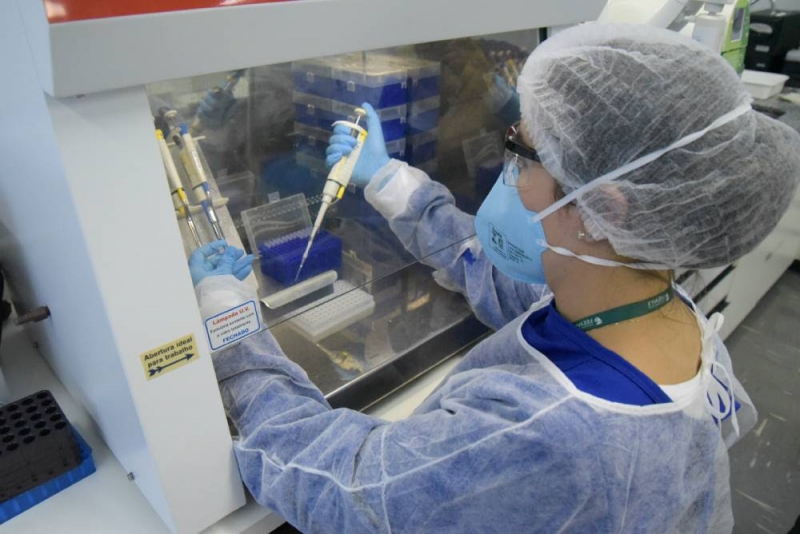 Exames RT-PCR positivos são encaminhados para genotipagem
