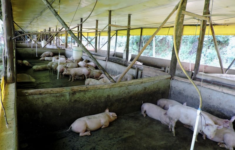 China continental e Hong Kong são os grandes compradores internacionais